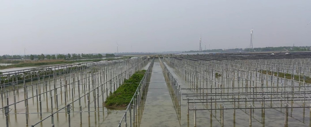 66.jpg