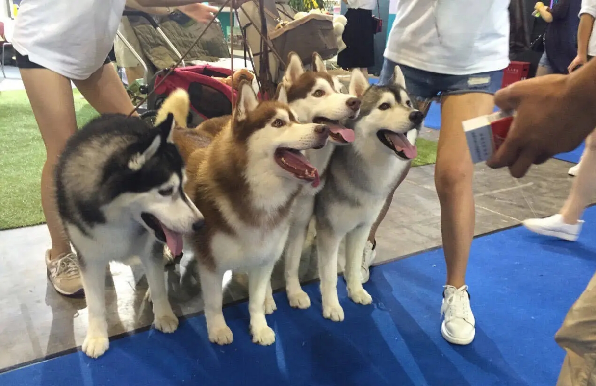 微信截图_20240808172637.png