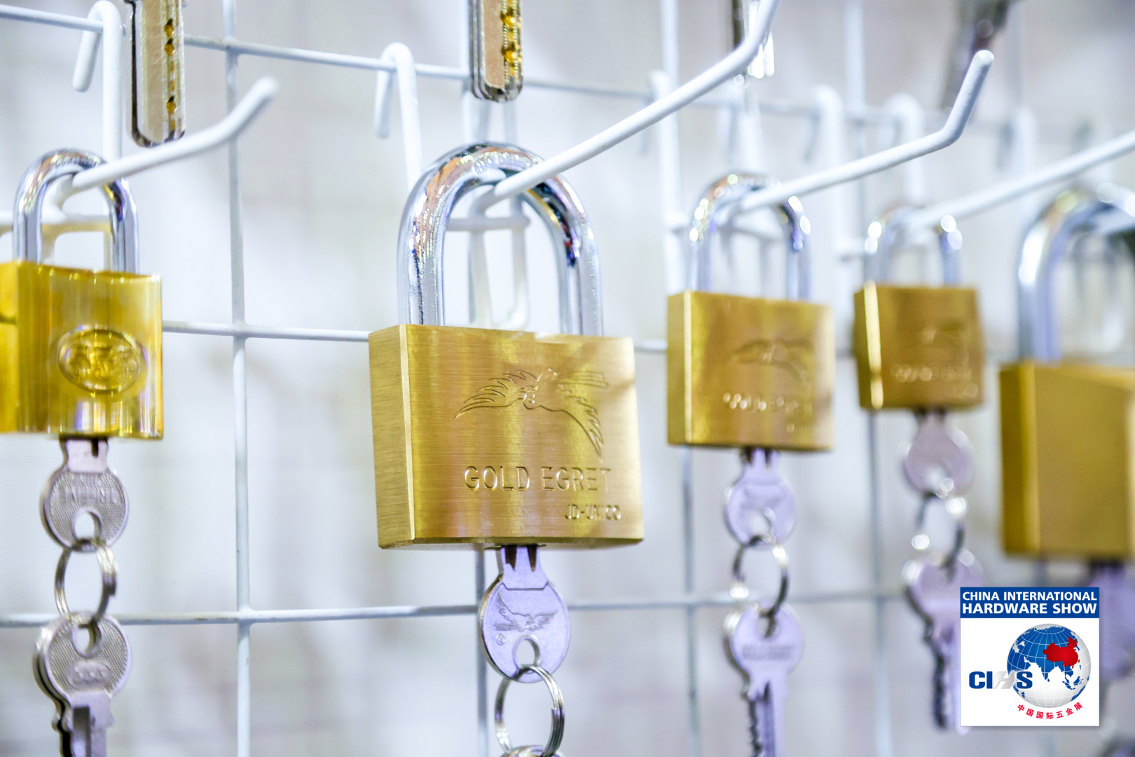 IMG_8566-opq3262173202.jpg IMG_8566-opq3262173202.jpg