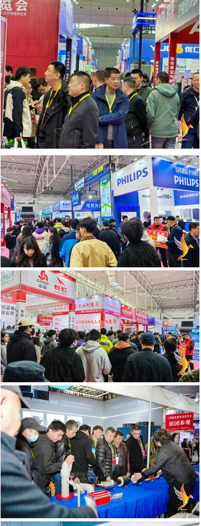 拼图2.png 拼图2.png